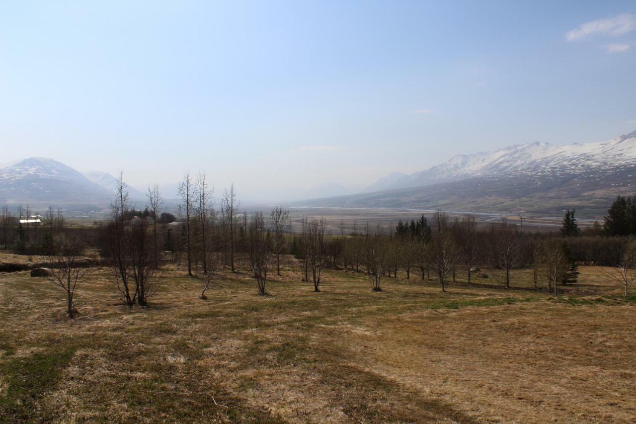Hotel North Akureyri Bagian luar foto